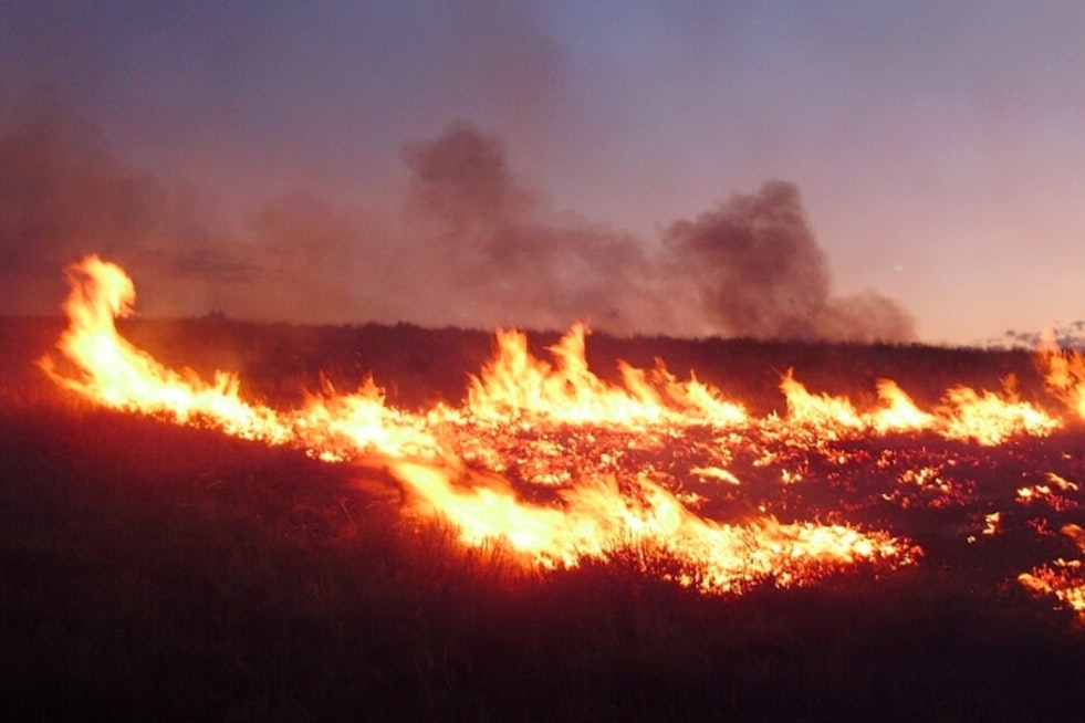 Smoky Brush Fire Near Miccosukee Slams Tamiami Trail, Shuts It Down at SW 152