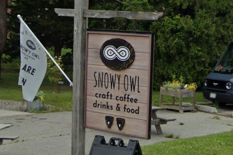 Snowy Owl Hatches Night Owl Wine Bar In Brewster