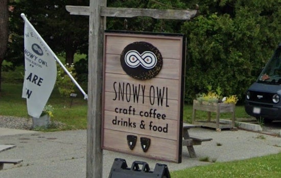 Snowy Owl Hatches Night Owl Wine Bar In Brewster