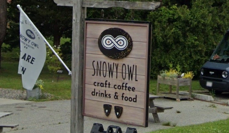 Snowy Owl Hatches Night Owl Wine Bar In Brewster