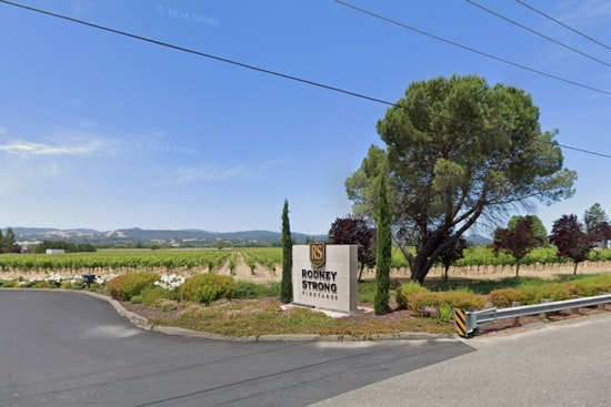 Sonoma Showdown: Rodney Strong Workers Take On Winery Brass Over Union Vote