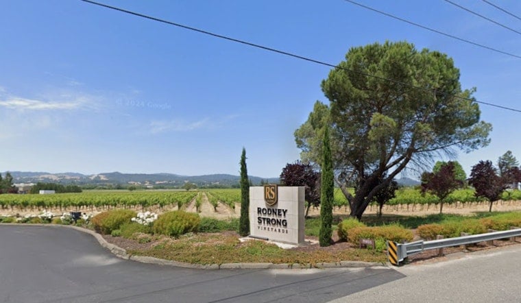 Sonoma Showdown: Rodney Strong Workers Take On Winery Brass Over Union Vote