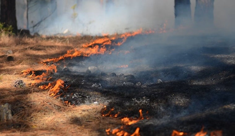 Sorrento Valley Brush Blaze Triggers Chaotic Evacuations Near I-5
