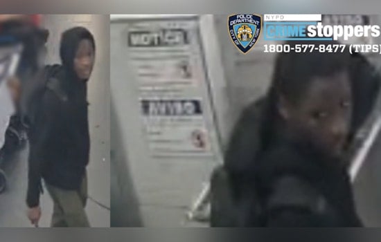 South Bronx Laundromat Creep Wanted After Lewd Attack On Woman