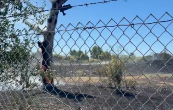 South San Jose Brush Fire By Los Lagos Triggers Tier 2 Scramble