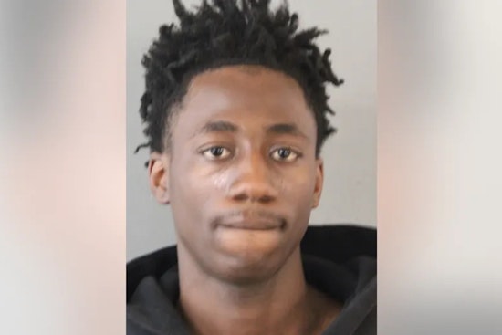 South Shore Teen Duo Busted After Gunpoint Carjacking Of 63-Year-Old, Cops Say