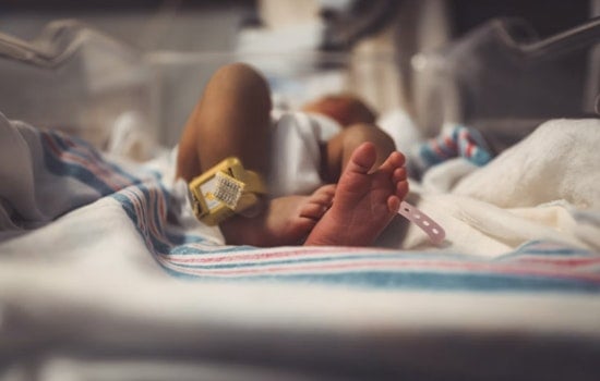 South Texas Newborns Get Lifesaving Boost As San Antonio Milk Bank Rises