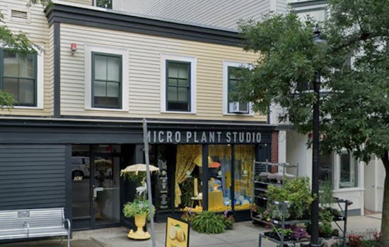 Southie Pride Sign Vandalized Outside Micro Plant Studio
