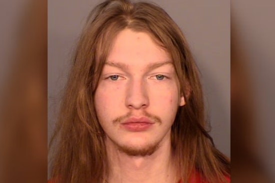 St. Paul Dad Caged for Nearly 16 Years in Twin Baby Beating Case