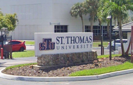 St. Thomas Plots Palmetto ‘Mini City,’ Puts Out Call For Big-League Developer