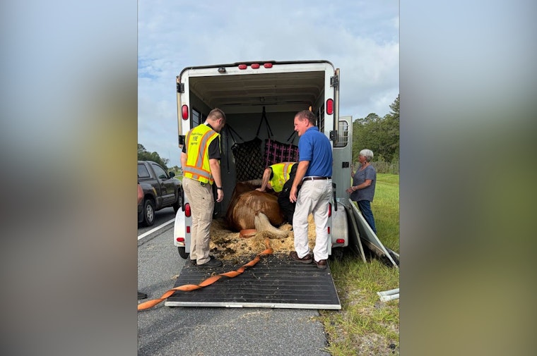 Starke Firefighters Yank Overheated Horse From Sweltering Trailer