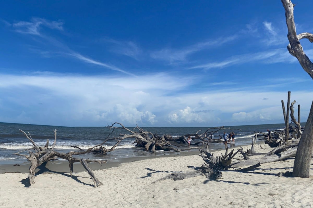 State Sounds Alarm On Bacteria At Tybee, Jekyll And St. Simons