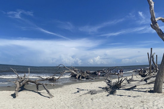 State Sounds Alarm On Bacteria At Tybee, Jekyll And St. Simons