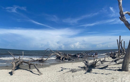 State Sounds Alarm On Bacteria At Tybee, Jekyll And St. Simons