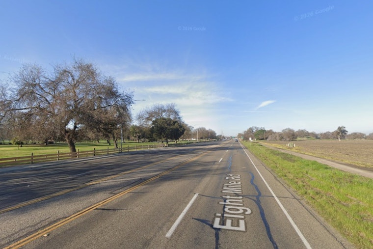 Stockton Cyclist And Two Dogs Left Dead In Eight Mile Road Hit And Run