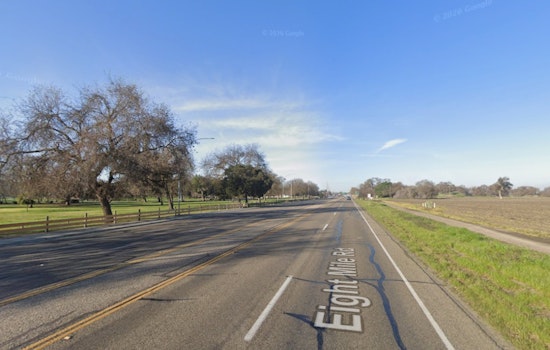 Stockton Cyclist And Two Dogs Left Dead In Eight Mile Road Hit And Run