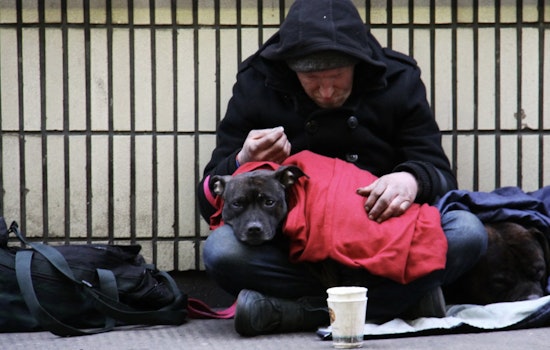 Stockton Street Dogs Launch Bold ‘Safe Grounds’ Camp For Homeless And Their Pets