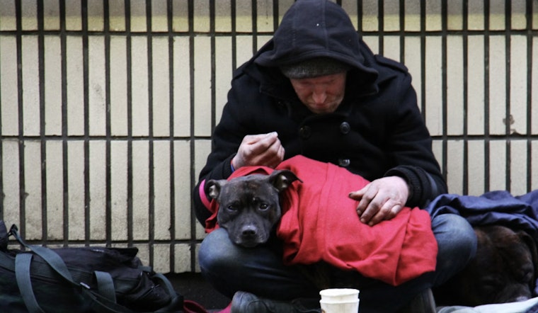Stockton Street Dogs Launch Bold ‘Safe Grounds’ Camp For Homeless And Their Pets