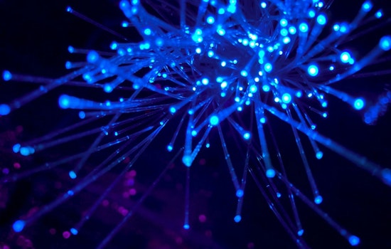 Suburban Showdown: Elk Grove Bets $850 Million In Junk Bonds On CoreWeave Data Hub