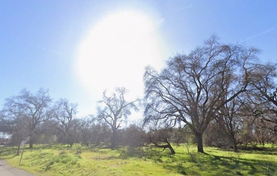 Sunny Skies, Snappy North Winds Set Sacramento Up For A Breezy Sunday