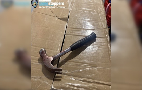 Sunset Park Hammer Horror: Roommate Gets 20 Years To Life