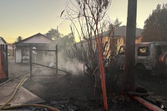SUV Torched, Power Lines Topple In Fiery Scare Near 30th And Thomas