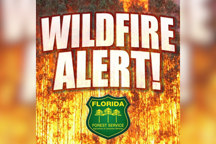 Swamp Fire Chokes Van Fleet Trail As Crews Race To Stop Lake County Blaze