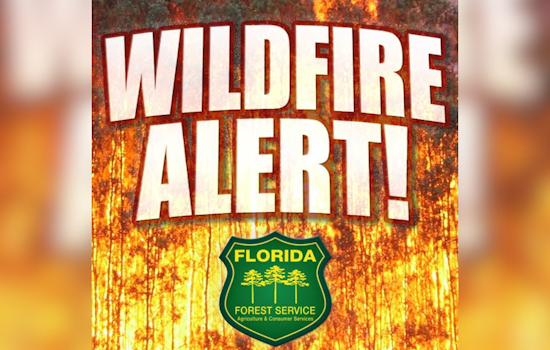 Swamp Fire Chokes Van Fleet Trail As Crews Race To Stop Lake County Blaze