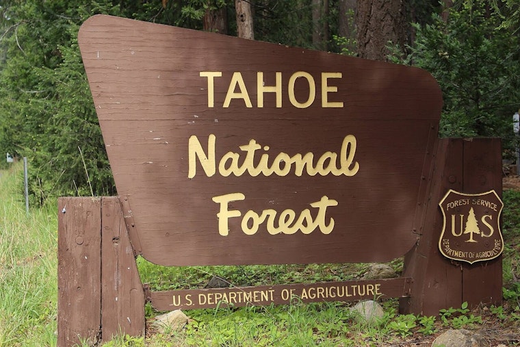 Tahoe Forest Crackdown: Campfire Ban And Night Drones Before July 4