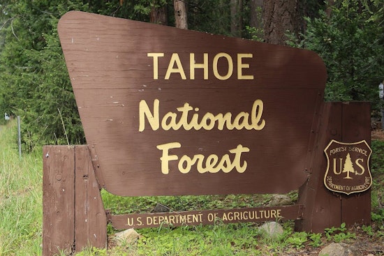 Tahoe Forest Crackdown: Campfire Ban And Night Drones Before July 4