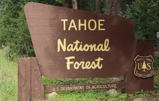 Tahoe Forest Crackdown: Campfire Ban And Night Drones Before July 4