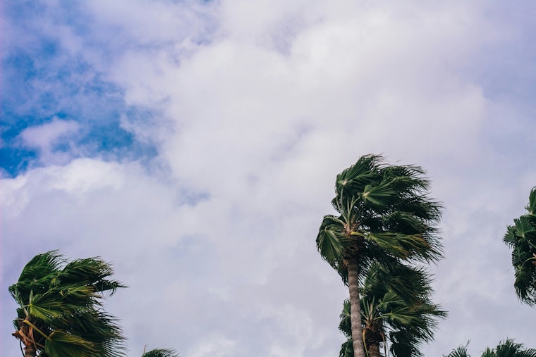 Tampa Bay Immigrants Still Wary Of Hurricane Havens