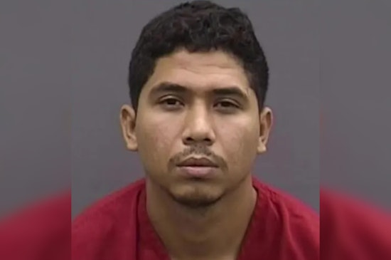 Tampa Teen’s Final Stand Recounted As Double-Stabbing Trial Grips Court