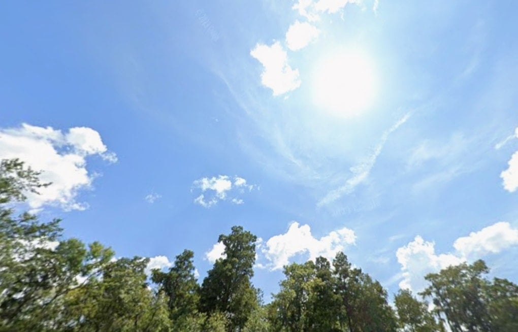Tampa Turns Into a Sauna as Heat Index Slams 105