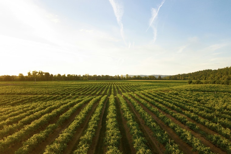 Tar Heel Tech Aims to Give Farmers Six-Hour Heads-Up Before Fields Flood