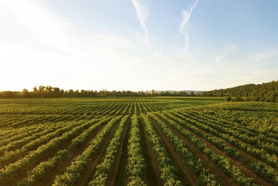 Tar Heel Tech Aims to Give Farmers Six-Hour Heads-Up Before Fields Flood