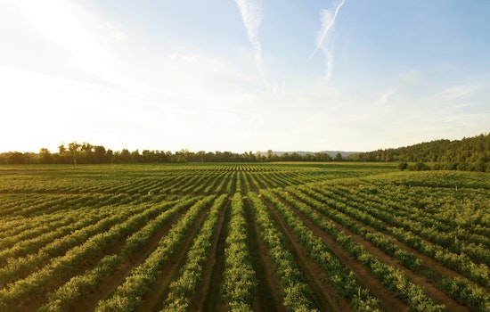 Tar Heel Tech Aims to Give Farmers Six-Hour Heads-Up Before Fields Flood