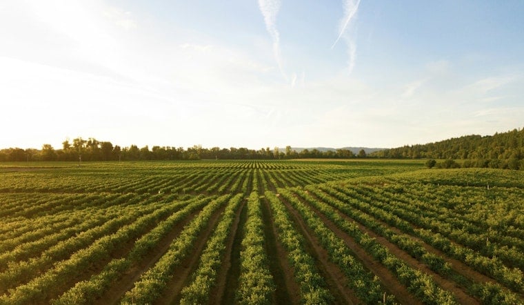 Tar Heel Tech Aims to Give Farmers Six-Hour Heads-Up Before Fields Flood