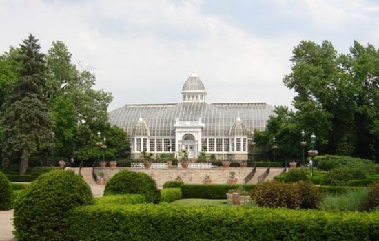 Tax Credit Jackpot Fuels $48 Million Palm House Makeover