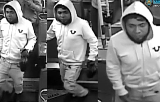 Teen Dragged Off Bronx Bus And Raped In Van Cortlandt Park Woods: Cops
