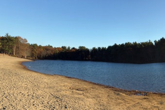 Teen Hospitalized After Water Rescue at Houghton’s Pond in Milton