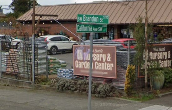 Teen Slur-Slinging Attack Outside West Seattle CVS Rattles California Avenue