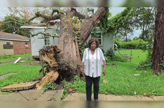 Termite-Riddled Oak Flattens New Orleans East Home As Thieves Pick Through Ruins