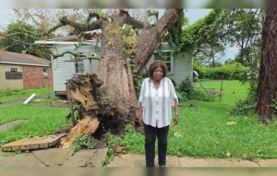 Termite-Riddled Oak Flattens New Orleans East Home As Thieves Pick Through Ruins