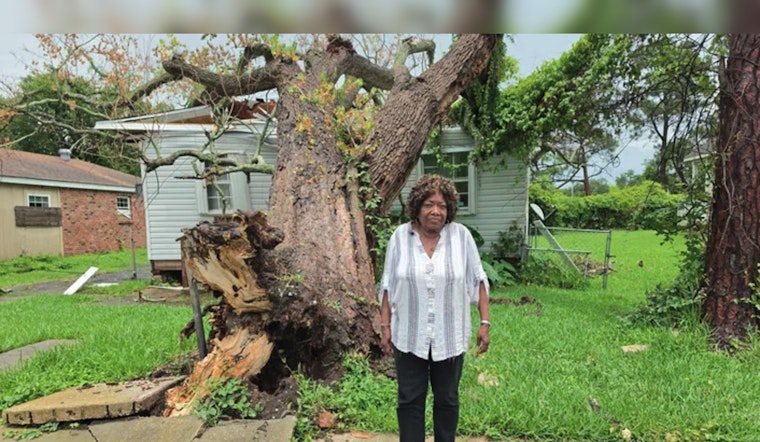 Termite-Riddled Oak Flattens New Orleans East Home As Thieves Pick Through Ruins