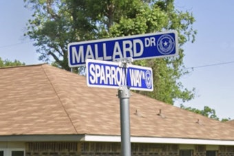 Texas City Welfare Check Turns Tragic As 42-Year-Old Woman Found Dead, 73-Year-Old Charged