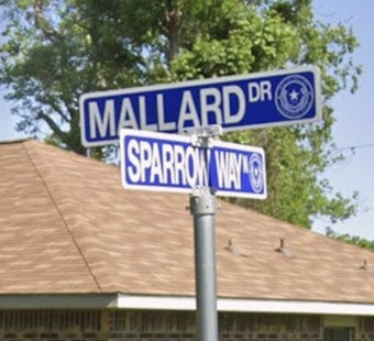 Texas City Welfare Check Turns Tragic As 42-Year-Old Woman Found Dead, 73-Year-Old Charged