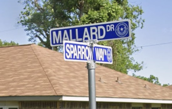 Texas City Welfare Check Turns Tragic As 42-Year-Old Woman Found Dead, 73-Year-Old Charged