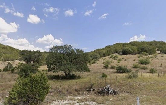 Texas Hill Country On Edge As Giraffe Gracie Vanishes From Leakey Ranch