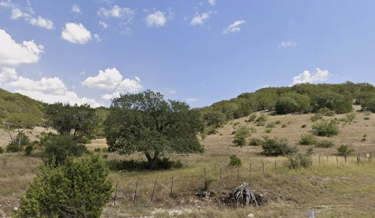 Texas Hill Country On Edge As Giraffe Gracie Vanishes From Leakey Ranch